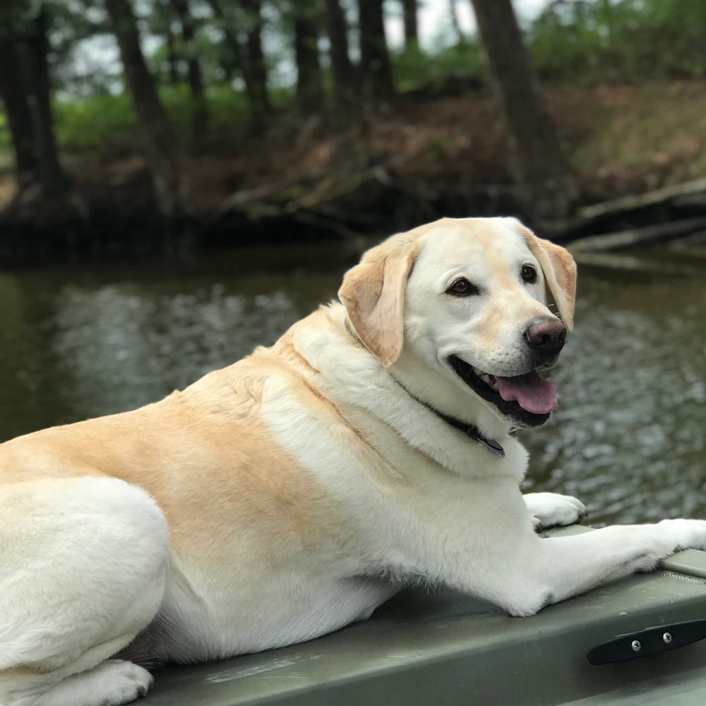 Meet your Posher, Campbell